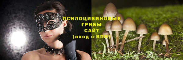 кокаин премиум Беломорск