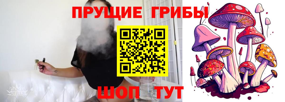 Псилоцибиновые грибы Cubensis  Вход с VPN  Верхний Уфалей 